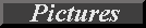 Button_Picsout_sm.gif